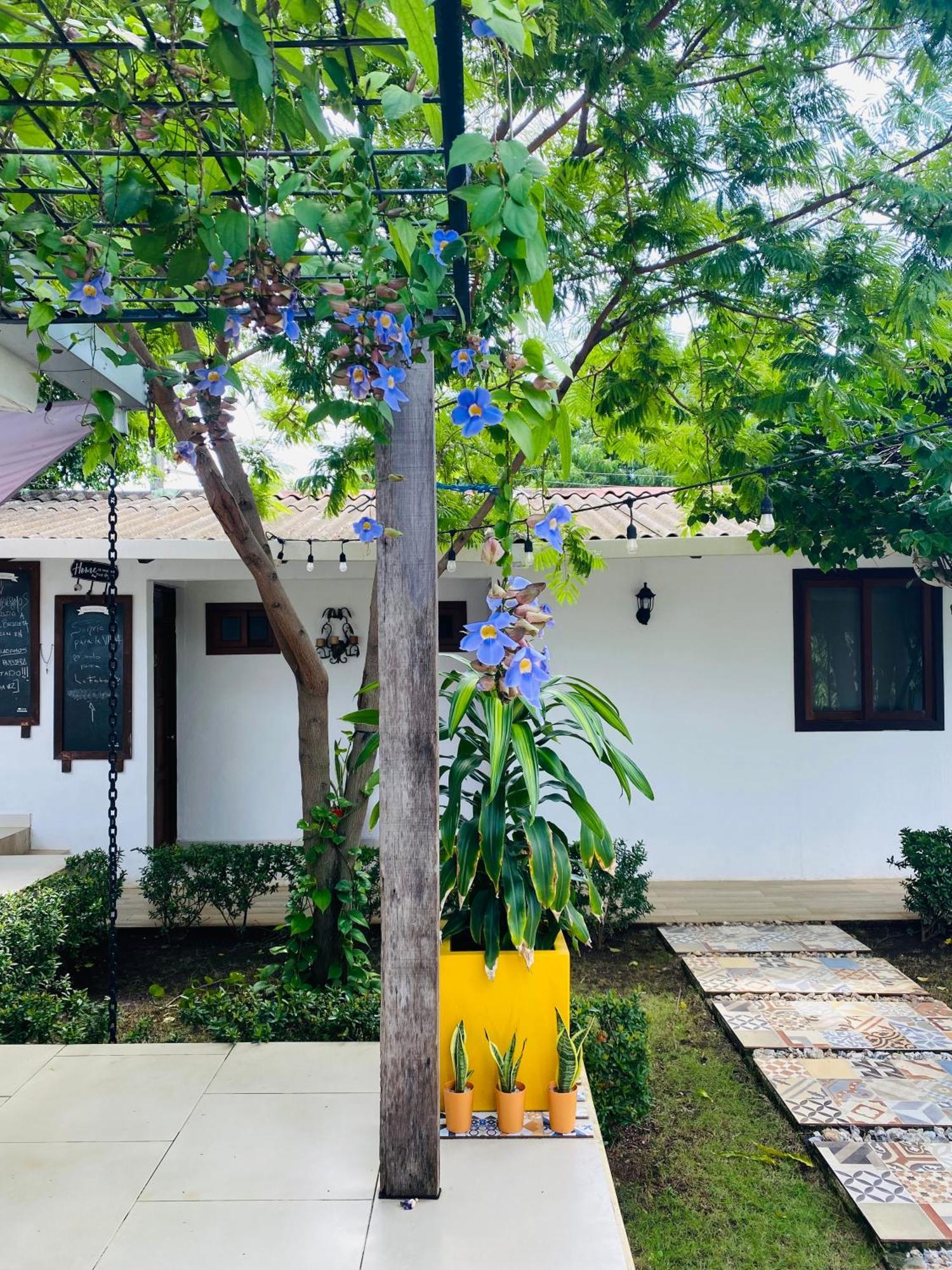 马那瓜湖Casa San Juan住宿加早餐旅馆 外观 照片